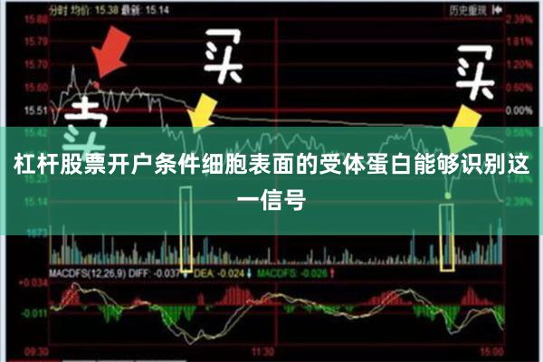 杠杆股票开户条件细胞表面的受体蛋白能够识别这一信号